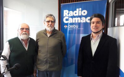 Estilo, figura, influencia y vigencia en la música de Aníbal Troilo