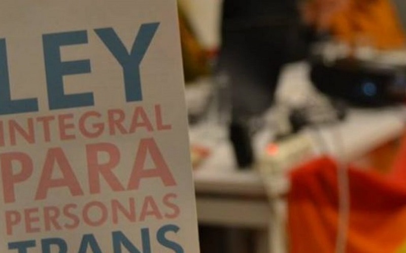 Ley trans: «El proyecto apela al acompañamiento de la familia»