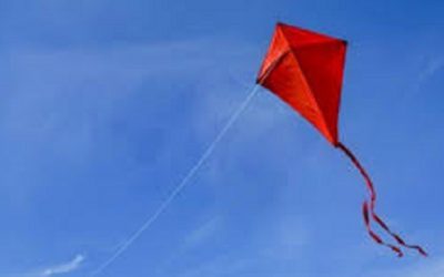 «A remontar»: Cuesta Duarte lanza serie de cursos a distancia