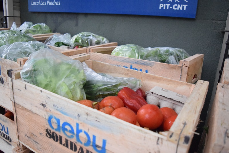 La importancia de la producción local de alimentos: con productores de Canelones