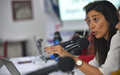 Oficialismo avanza con el proyecto de «tenencia compartida» en el Parlamento y omite alertas de expertos y organizaciones internacionales