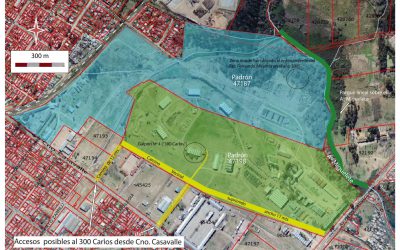 INDDHH retoma las excavaciones en el 300 Carlos – Infierno grande
