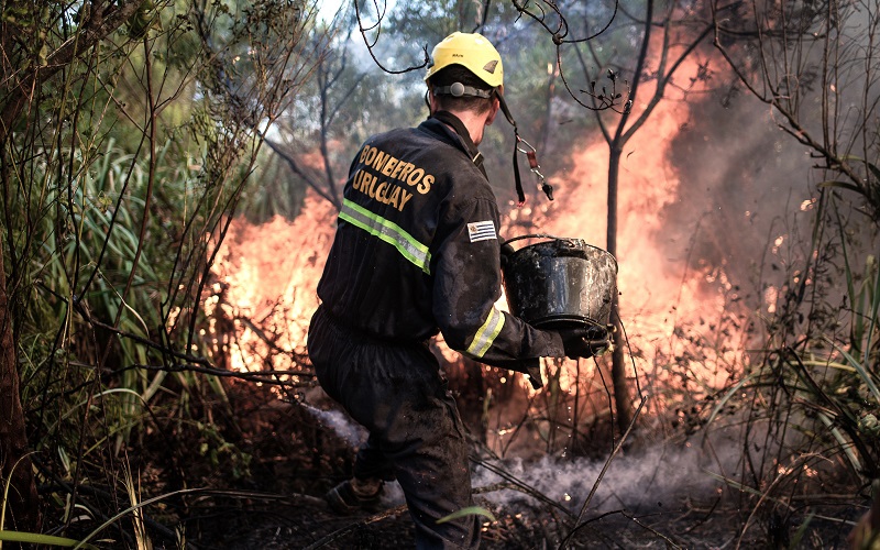 Bomberos reclaman falta de personal y condiciones «deplorables» de la flota
