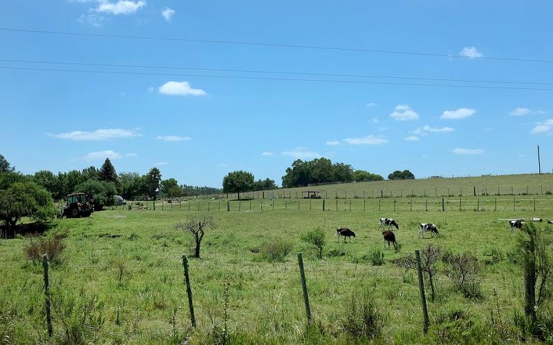 Reforma jubilatoria: exoneraciones al agro no se tocaron por “valoraciones políticas”