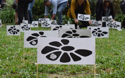 Margaritas, memoria y emoción: AEBU dejó su huella en la Plaza Matriz