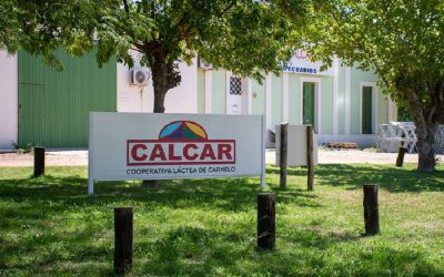 Conflicto en Calcar: trabajadores denuncian despidos y reestructuración injusta