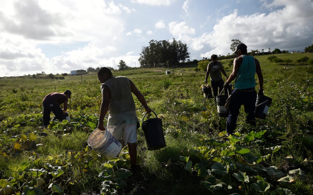 Destacados expertos exponen sobre trabajo, salud y cambio climático