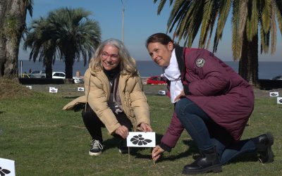 Mariana Zaffaroni y Analía Argento presentan «Los nietos te cuentan cómo fue»