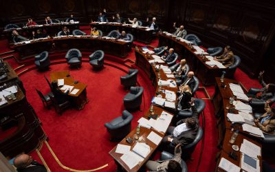 Senado aprobó proyecto de garantías a la infancia y la adolescencia