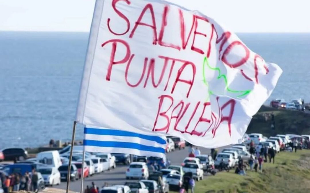 Punta Ballena más cerca de ser declarada área protegida