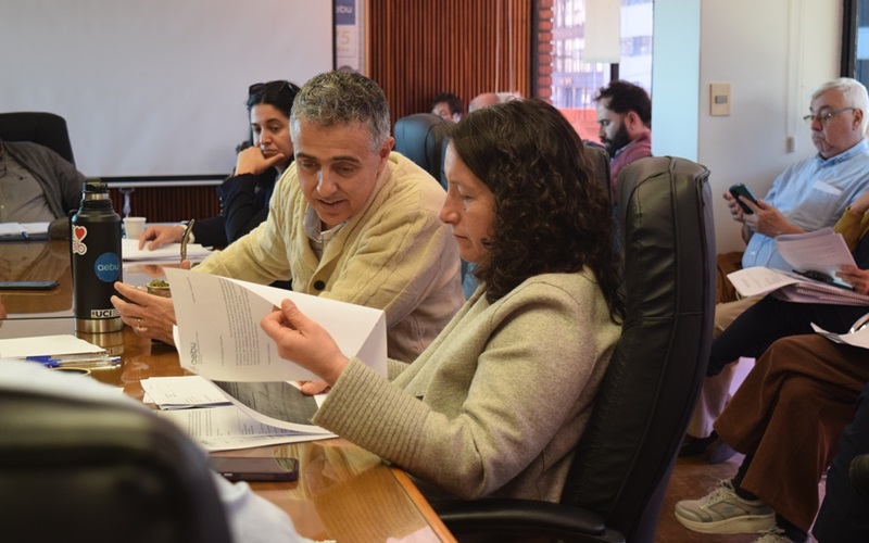 Nutrida agenda en el Consejo Central: presupuesto, informes y afiliaciones