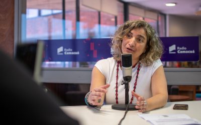 Violencia vicaria en el foco de noviembre